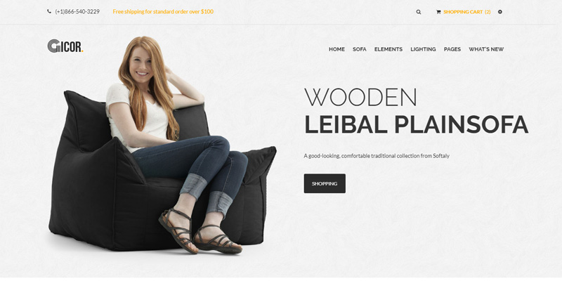 E-commerce website designed by Webinfolink