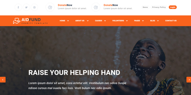NGO website designed by Webinfolink